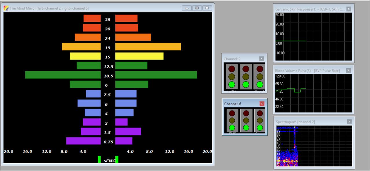 The Mind Mirror brainwave display alongside galvanic skin response, blood volume pulse, and spectrogram feedback in Vilistus/Pro